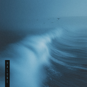 Wings Over Waves