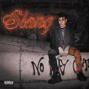 Slang