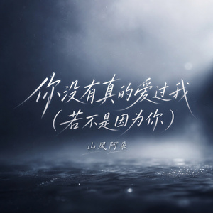 你没有真的爱过我(若不是因为你)