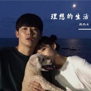 理想的生活-