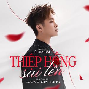 Thiệp Hồng Sai Tên (Remix Vinahouse)