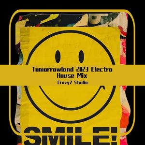 Tomorrowland 2023 Electro House Mix