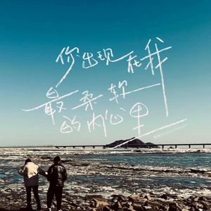 你出现我最柔软的内心里