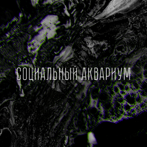 социальный аквариум