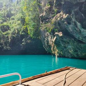 雪落空山鸟不惊