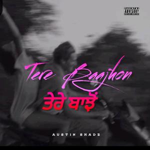 ਤੇਰੇ ਬਾਝੋਂ (Tere Baajhon) – Austin Shadz | New Punjabi Love Song 2025 | Official Audio