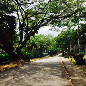 Breeze Paradox Prod.ZIV