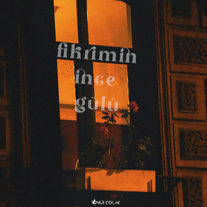Fikrimin İnce Gülü