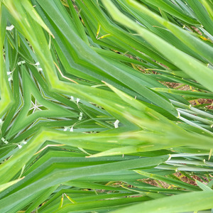 With frequency as our guide, we journey deep within