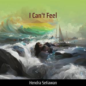 I Can't Feel