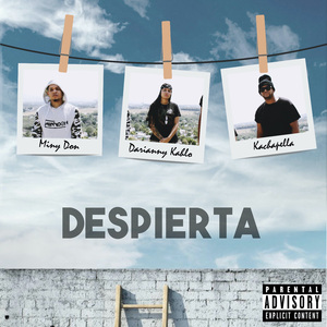 Despierta