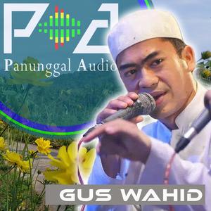 Suluk Hubbun Nabi Alal Insani (Live)