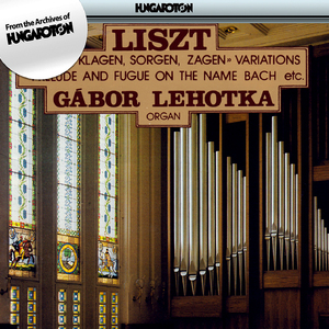 Ave Maria d'Arcadelt, S. 183/2:Ave Maria von Arcadelt, S. 659/R. 401