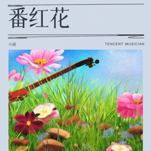 番红花 伴奏
