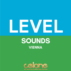 Intelectual Connection