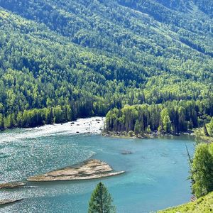 《极简钢琴与白噪音交织的编程静域》阿飞帮036