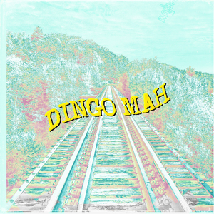 Dingo Mah