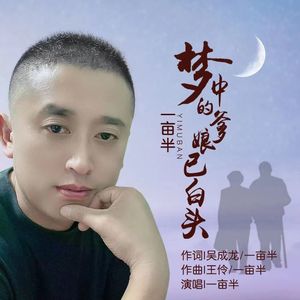 梦中的爹娘已白头