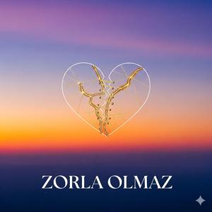 Zorla Olmaz