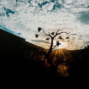 judgment of light