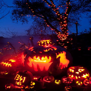 MTG - TE TACO LÁ - DJ JZ