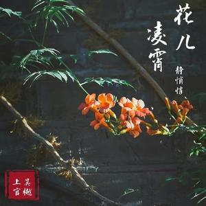 凌霄花儿静悄悄。