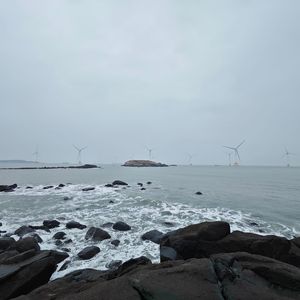 忘记生命只需呼吸