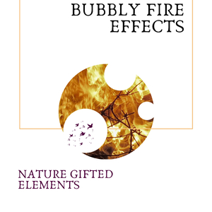 Peaceful Woodland View