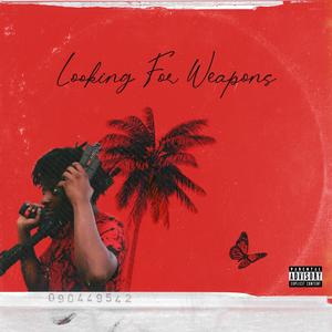 Looking For Weapons (feat. 556.Drako)