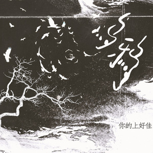 乌鸦2.0 (0.9降调版)