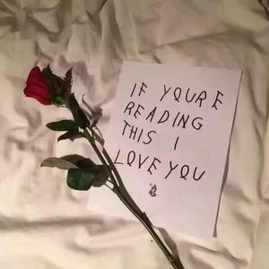 永不日落的爱恋