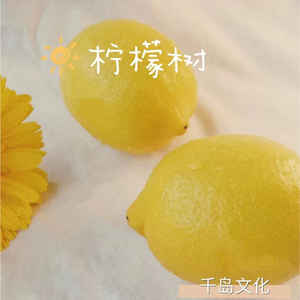 柠檬树