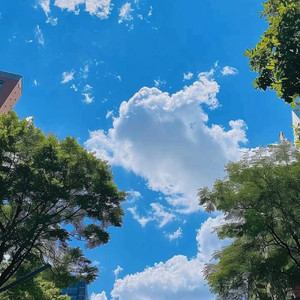 假如早一点相遇 烟嗓船长