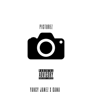 Picturez