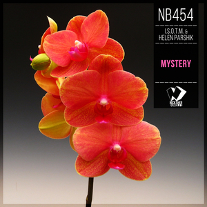 Mystery (Original Mix)