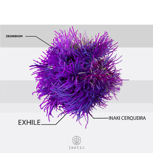 Zeonidium (Original Mix)