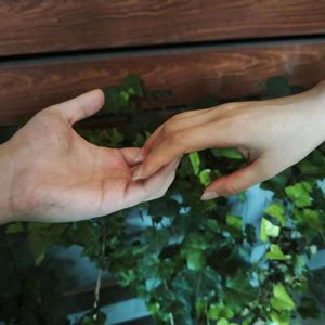 2024广寒岁月的爱情