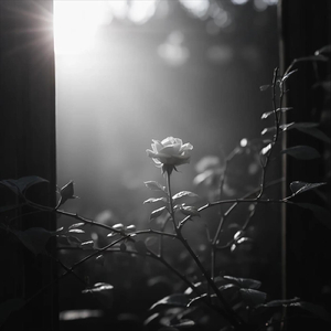 Perché sei andata via?