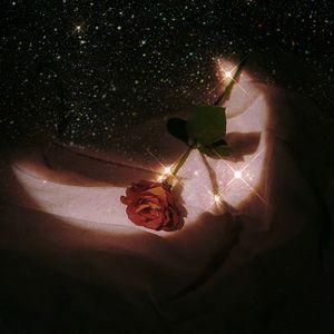 蜜蜂Demo（Cover万玲琳）