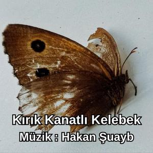 Kırık Kanatlı Kelebek - Enstrümantal