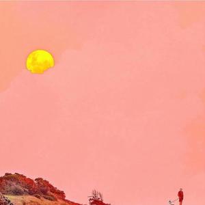 音阙诗听-芒种（Similar remix）