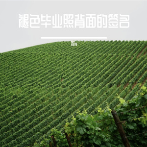 月亮秋千摇啊摇