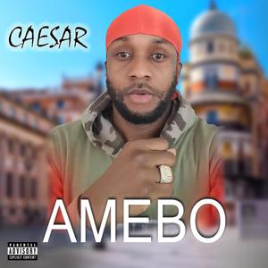AMEBO