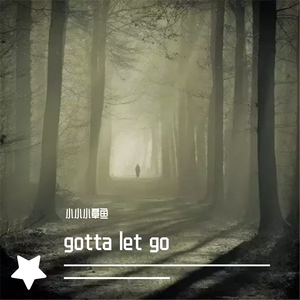 Charlie Puth-I Warned Myself（小小小章鱼 remix）