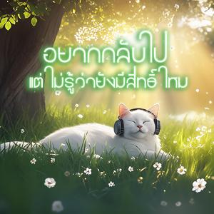 อยากกลับไป แต่ไม่รู้ว่ายังมีสิทธิ์ไหม