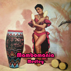 Mambomania Medley. Johnny'S Mambo / Mambo Margarita / Patricia / Amante Latino / In a Little Spanish Town / Mambo 5 / De Tod un Poco / El Abrillantador / Estrellita / Tiempo de Mambo / Mambo Paradiso / La Bailarina / Mambo de la Luz / Ronny'S Mambo /