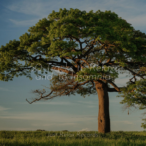 Silent Abyssal Symphony