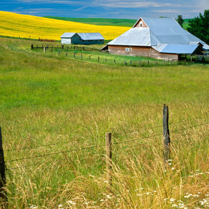 当然要用合照配这首歌