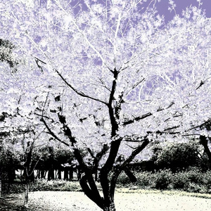 元春楼隔断prod by.keerad