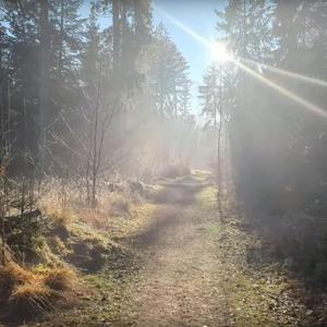 Zuflucht - Song über die dreifache Zufluchtnahme (Buddhismus)